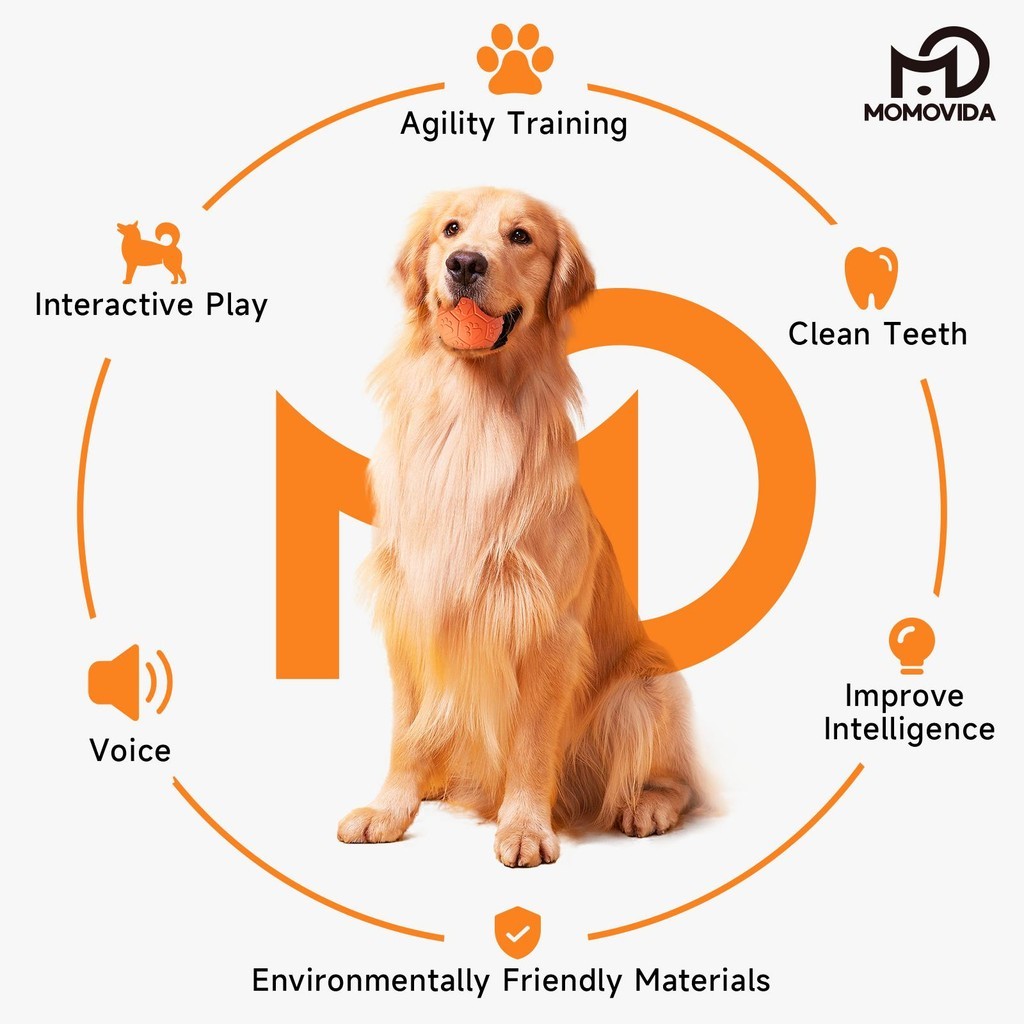 MOMOVIDA Football (DT-15) (DT-15L) ฟุตบอล ลูกบอลสุนัข ลูกบอลฝึกสุนัข ลูกบอลมีเสียงสำหรับสุนัข