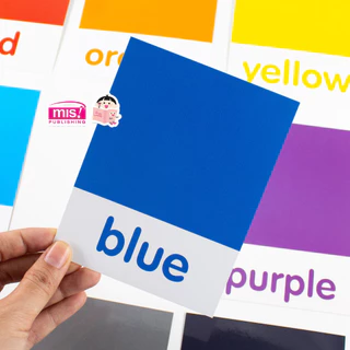 การ์ดช่วยจำ เรียนรู้สีสันพร้อมคำศัพท์ภาษาอังกฤษ My First Colors