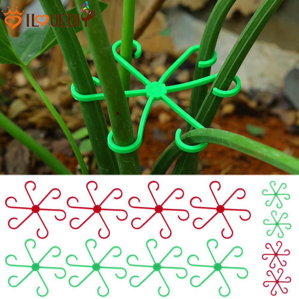 [3-5 วันมาถึง] [ ที่โดดเด่น ] คลิปยึดก้านพืชสีเขียว - เครื่องมือทําสวนเรือนกระจก - แคลมป์ยึดเถาวัลย์ผัก - ตะขอปลูกกิ่งไม้ผลไม้ - แร็คยึดสาขาดอกไม้