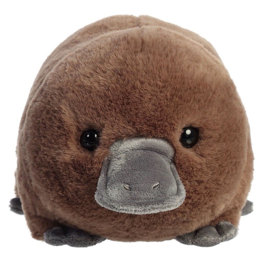 ตุ๊กตาของเล่นยัดนุ่นตุ่นปากเป็ดของขวัญน่ารักสำหรับสาวอ้วน