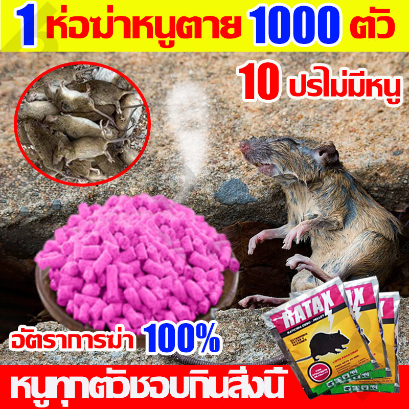 💥ปลอดหนูตลอดปี💥 ยาเบื่อหนู ตายไม่มีกลิ่น เหยื่อกำจัดหนู แห้งเป็นชิ้น ใช้ได้ทั้งในบ้านและนอกบ้าน พร้อมส่ง