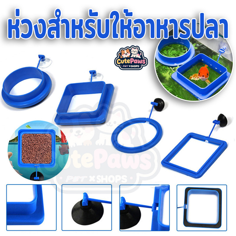 ห่วงสำหรับให้อาหารปลา ทรงกลม สําหรับตู้ปลา ที่กักอาหารปลา ที่กั้นอาหารปลา ที่ให้อาหารปลา ป้องกันไม่ให้อาหารเข้าระบบกรอง