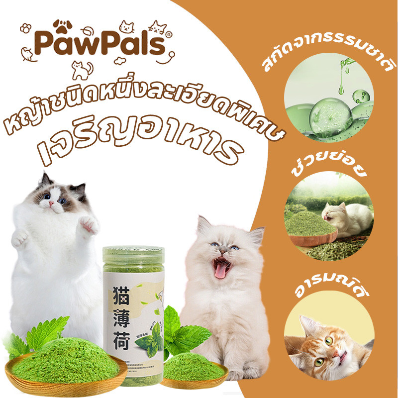 PawPals กัญชาแมว Catnip 250ml แบบผงบดละเอียด แคตนิปแมว กัญชาหลอด แมวชอบมาก