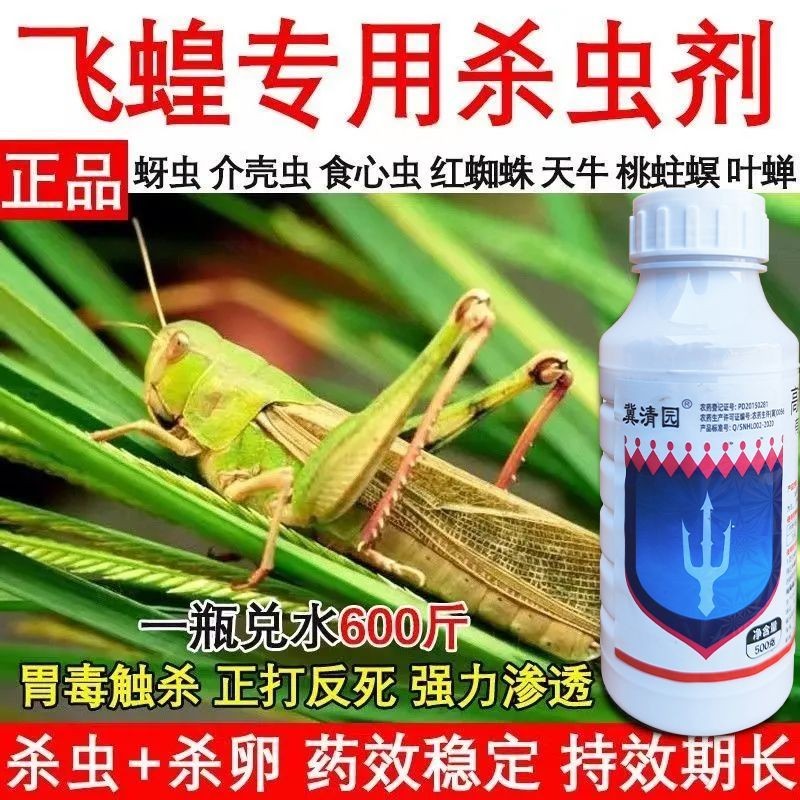 Locust ยาฆ่าแมลง Ant หญ้าเฉพาะฟาร์มข้าวโพด Pastoral Orchard สวนผัก Pest ไข่ยาฆ่าแมลงคู่ยาการเกษตร pd