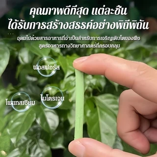 สารอาหารสำหรับพืช 18 ชิ้น / ปุ๋ยแท่ง ละลายช้า เร่งโต เร่งงาม ผลไม้ และผัก ส่งจากไทย