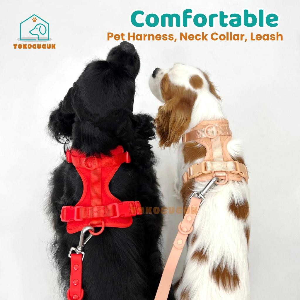 SUNMORNING PVC Dog Cat Harness / Leash / Collar – Cat Doggy Anabul Neck Strap P01 P02 P03