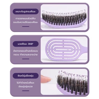แปรงจัดแต่งทรงผมขนหมูป่าแท้ ช่วยลดอาการผมพันกัน พร้อมกับซีกหวีไนลอนนวดหนังศรีษะ แปรงจัดแต่งทรงผมป้องกันไฟฟ้าสถิตย์