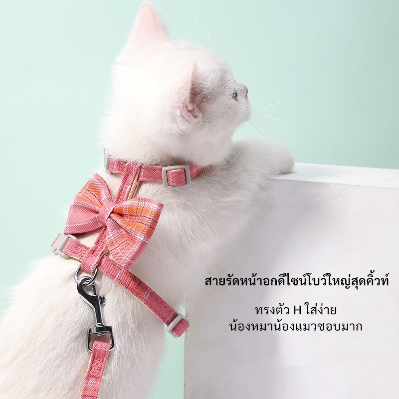 KTCAT สายจูงแมวพร้อมสายรัดอก ลายตาราง โบว์ใหญ่ ปรับขนาดได้ กันหลุด นุ่ม ใส่สบายสำหรับแมวทุกสายพันธุ์