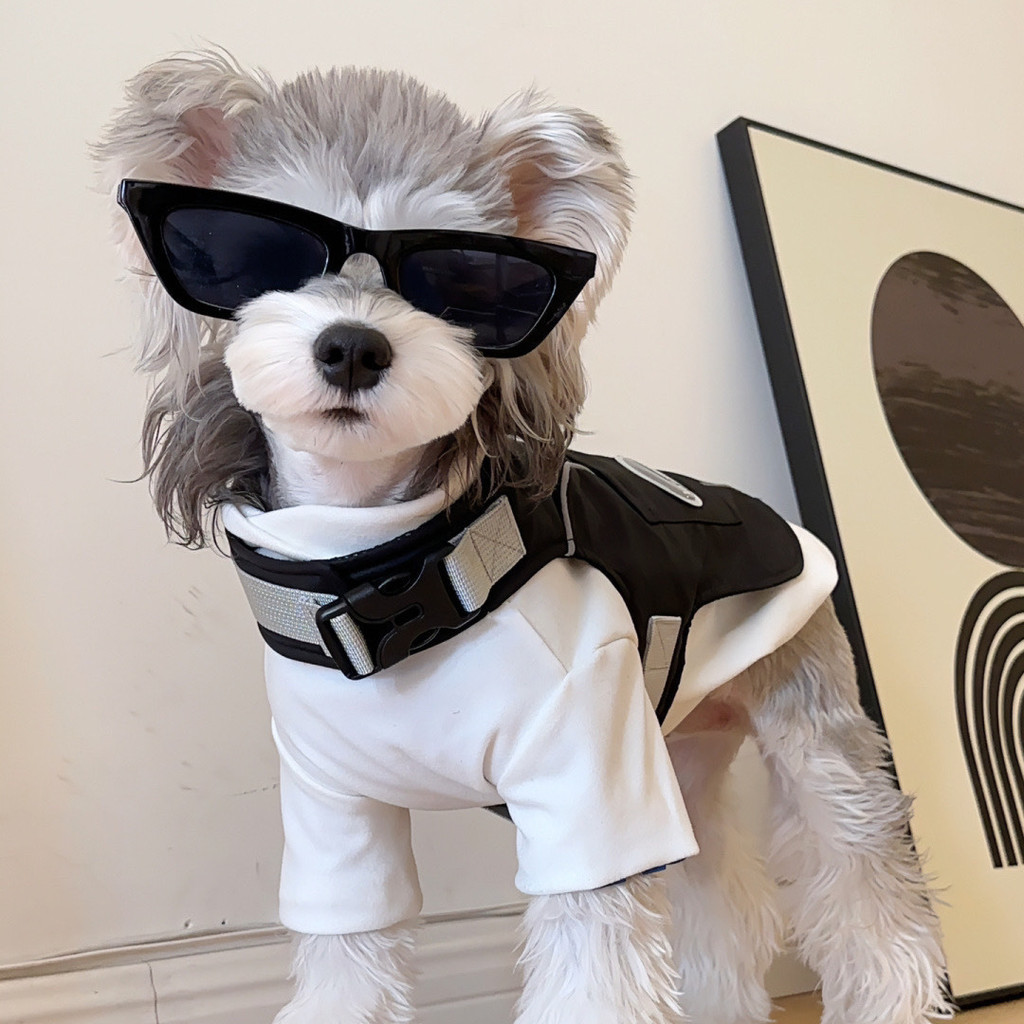 41% Repurchase Rate เสื้อผ้าสุนัข Four Seasons All-Wear เสื้อกั๊กคาร์โก้เสื้อกั๊กสายจูงสัตว์เลี้ยง S