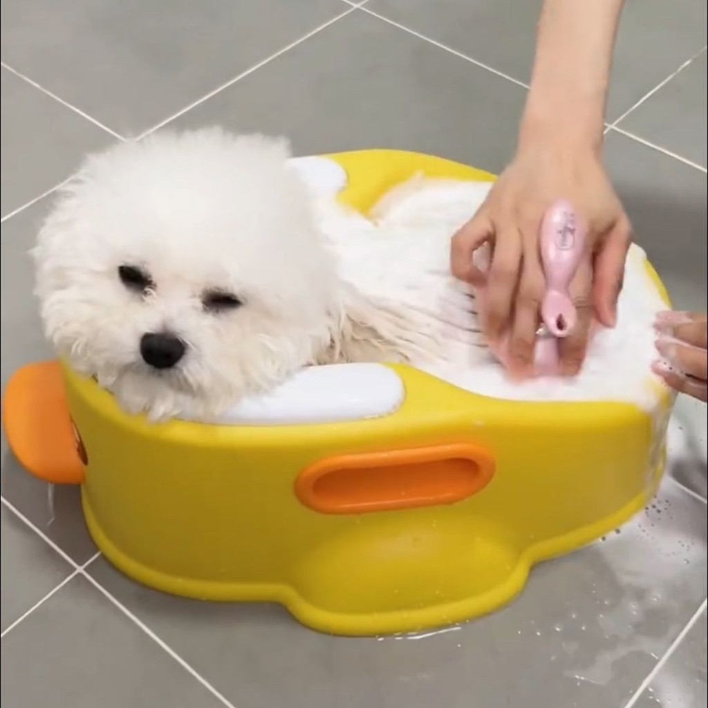 อาบน้ําสุนัข Pet Cat Bichon Teddy Special Bath Bucket Small Bath Bucket Anti-Running Handy Tool