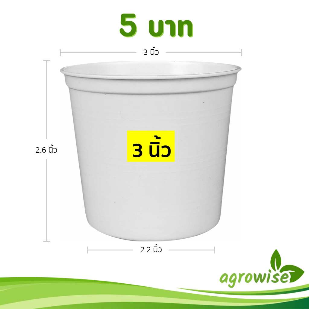 กระถาง กระถางต้นไม้ ทรงกลม เบอร์ 3 นิ้ว สีขาว Bundle 50 ใบ