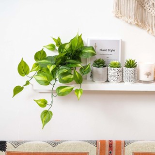 พืชตอสปลอมบ้านไร่ | ต้นไม้ปลอมสําหรับตกแต่งชั้นวางของ |ไม้ไม…