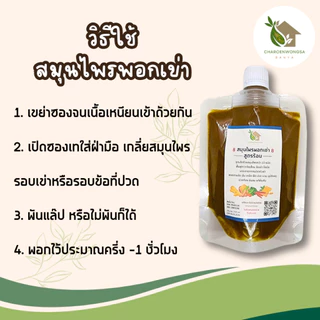 สมุนไพรพอกเข่า สูตรน้ำ【พร้อมส่ง 🍑 ส่งฟรี 】เป็นน้ำพร้อมใช้งาน เข่าเสื่อม ปวดข้อ เข่า สมุนไพรพอกขา
