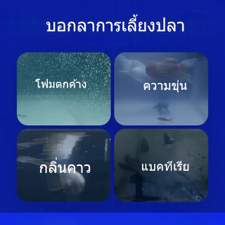 CODน้ำยาปรับสภาพน้ำ จุลินทรีย์ปรับสภาพน้ำใส ดับกลิ่นเหม็น 12 ชั่วโมงใวิน้ำใสขึ้น จุลินทรีบ่อปลา แบบเข้มข้น ละลายอุจจาระ