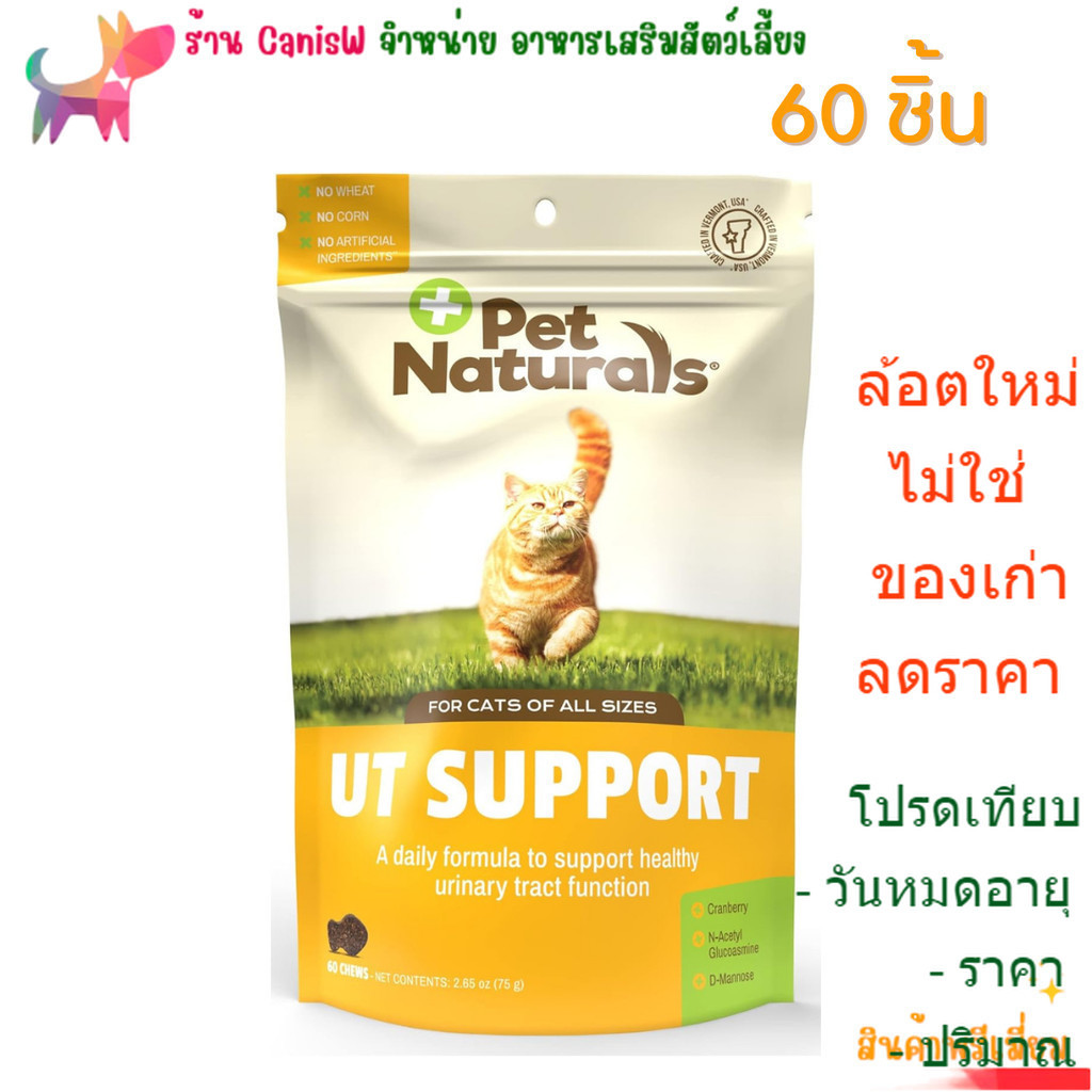 นิ่ว ใหม่ exp 8/26 ระบบปัสสาวะ 60 ชิ้น แมว ฉี่ไม่ออก ยาก ขนม อาหาร วิตามิน UT SUPPORT CRANBERRY URIN