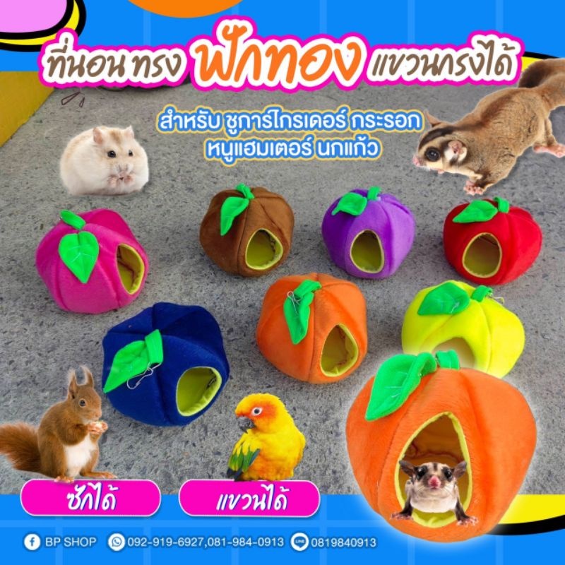 พร้อมส่งไม่ต้องรอ บ้านผ้าชูก้าร์ นก กระรอก หนูแฮมสเตอร์ ทรงฟักทองแฟนซี สามารถแขวนกรงได้ (IPshop)