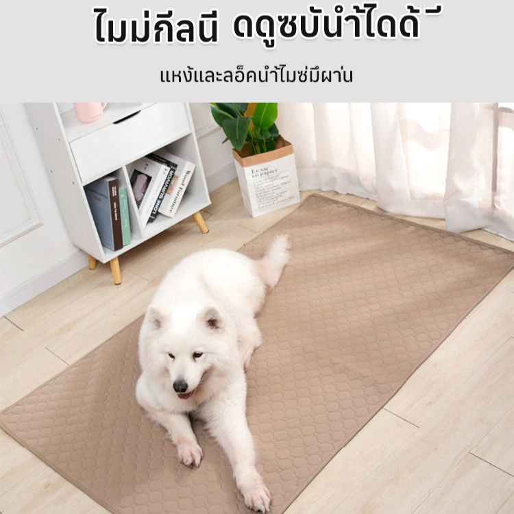 แผ่นรองฉี่สัตว์เลี้ยงซักได้ กันลื่น thumbnail 6
