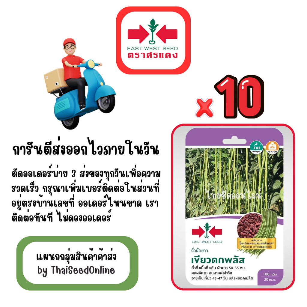GG x 10 เมล็ดผักซองศรแดง เขียวดกพลัส ถั่วฝักยาว สินค้ายกแพ็ค