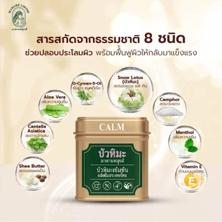 ครีมบัวหิมะสูตรเข้มข้น สำหรับทาแผลและผิวอักเสบ Madame Louise Snow Lotus รับประกันของแท้ by Purefitstore