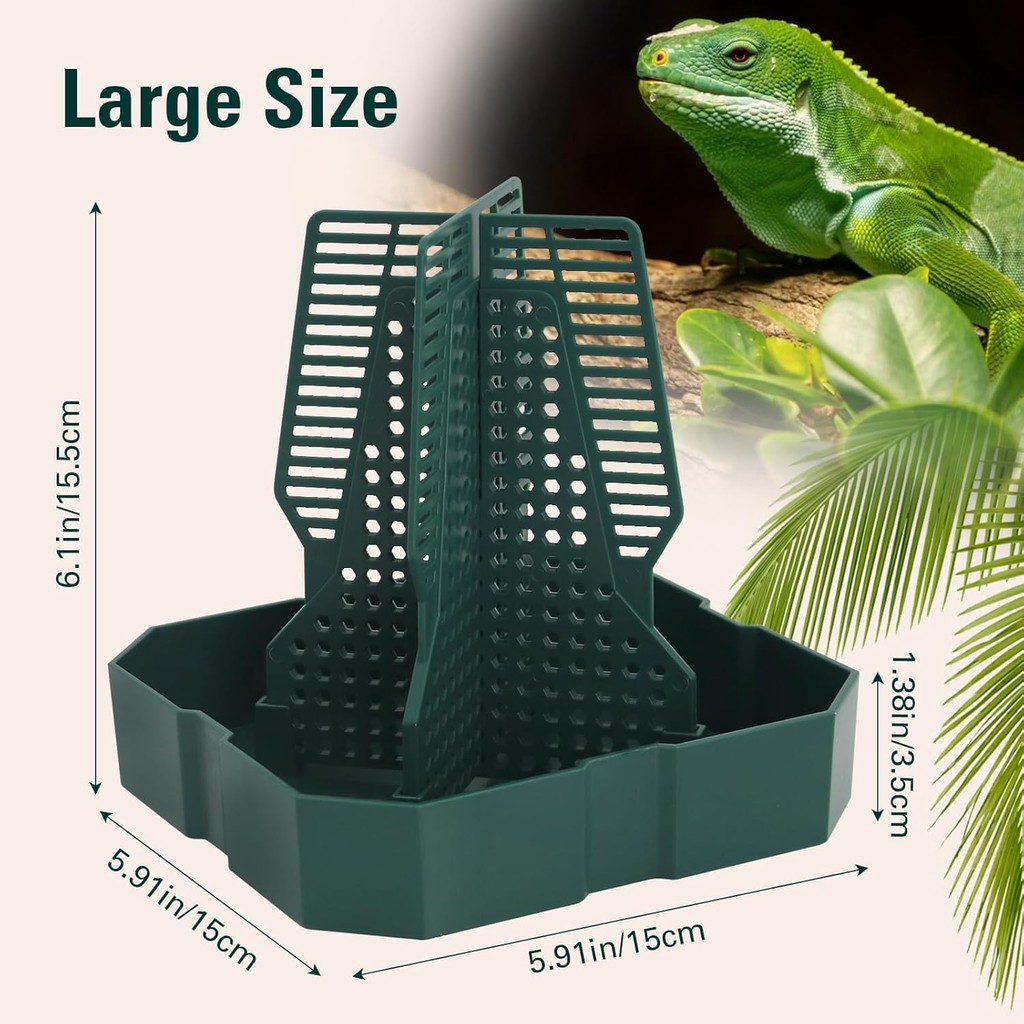 Chameleon Feeding Bearded Dragon Bug Bowl Reptile Feeder Box พร้อมคอลัมน์สําหรับแมลงปีนสําหรับ Feedi