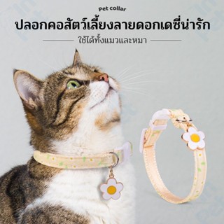 INPET ปลอกคอแมวสุนัขน่ารัก ปรับได้หลายไซซ์ 💕 วัสดุนุ่มทน ระบ…