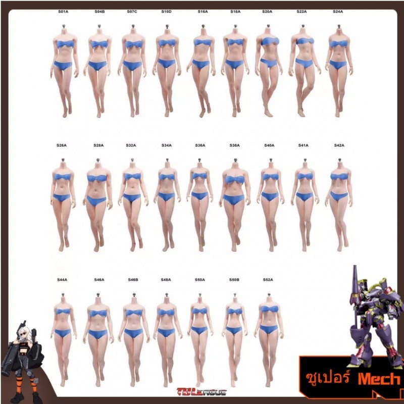 พร้อมสต็อก PHICEN TBLeague Steel Bone Entcapsulated 1: 6 กล้ามเนื้อหญิง Body ภาพวาด Sketch รุ่น