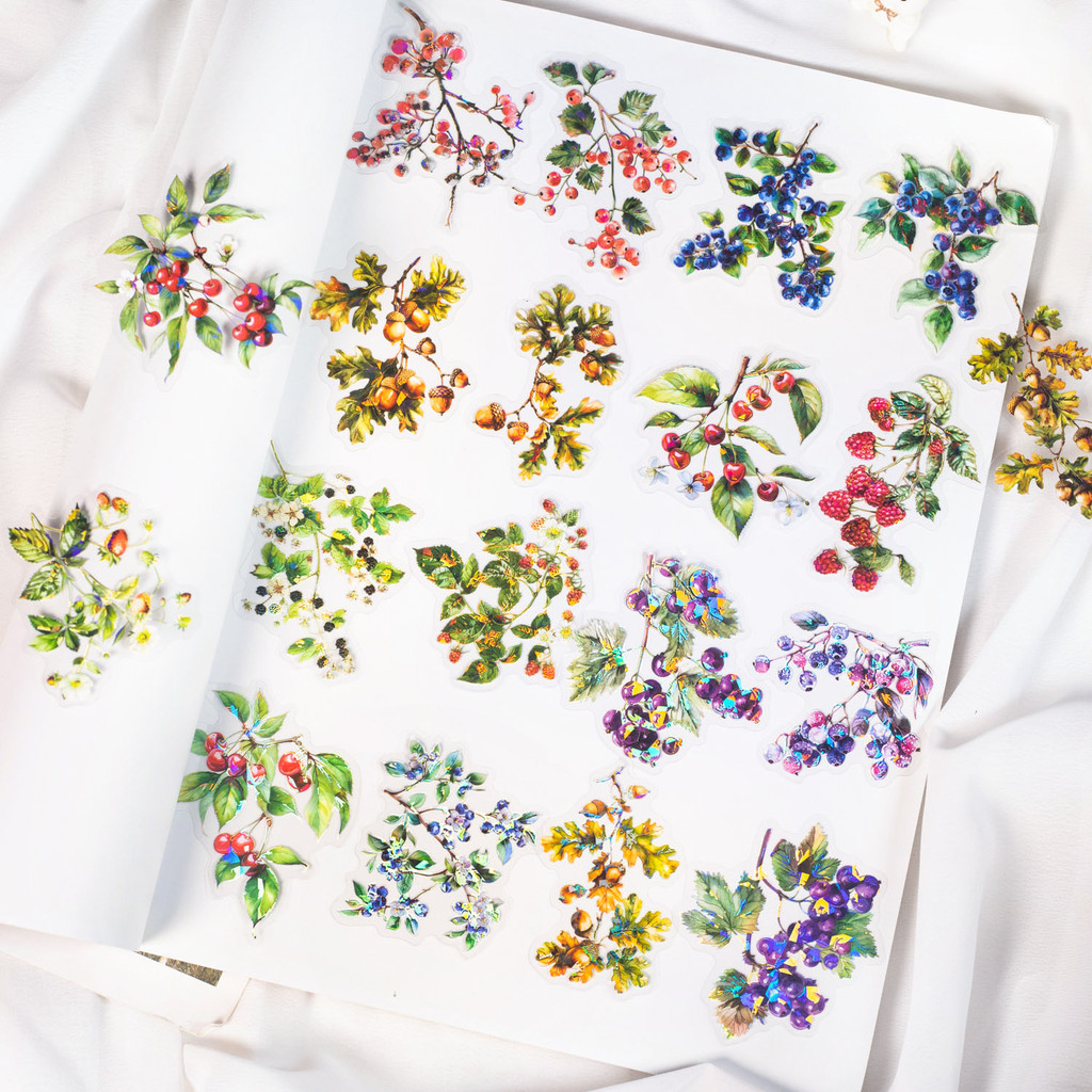 Journamm 20PCS PET สติกเกอร์ Shell Light Craft สติกเกอร์ตกแต่ง Junk Journal ไดอารี่ Scrapbooking วัสดุ Deco อัลบั้มเครื่องเขียนสติกเกอร์