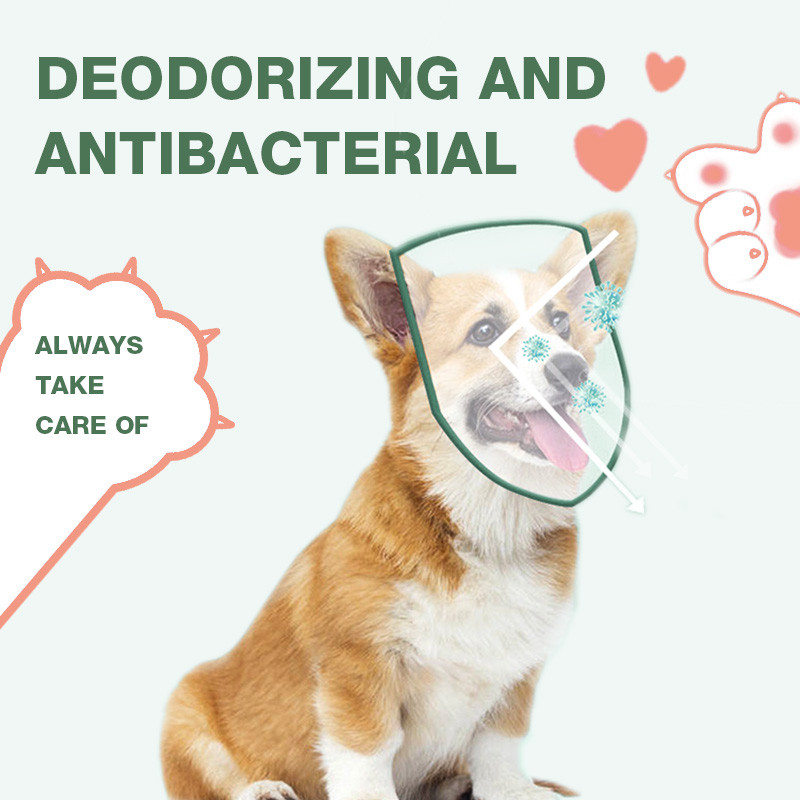 รูปภาพ 3