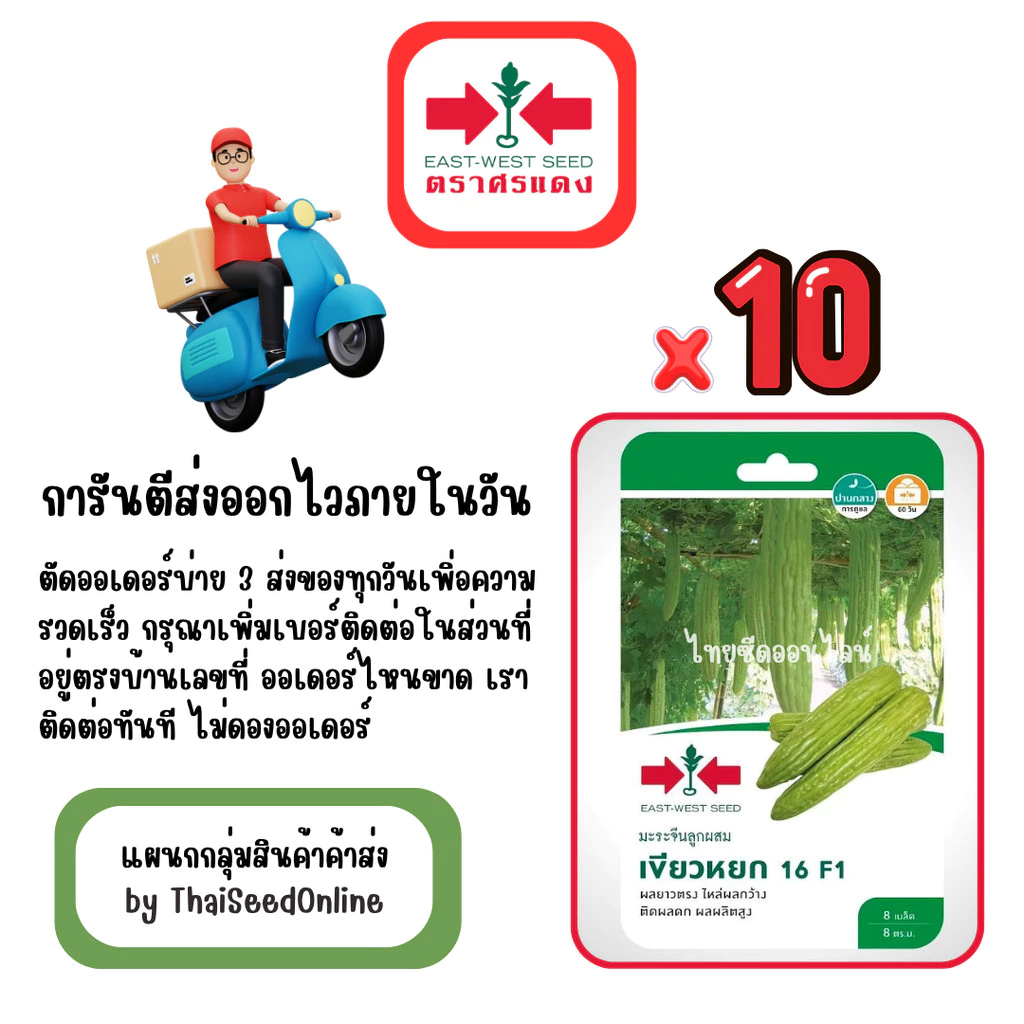 GG x 10 เมล็ดผักซองศรแดง เขียวหยก มะระจีน สินค้ายกแพ็ค