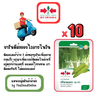 GG x 10 เมล็ดผักซองศรแดง เขียวหยก มะระจีน สินค้ายกแพ็ค