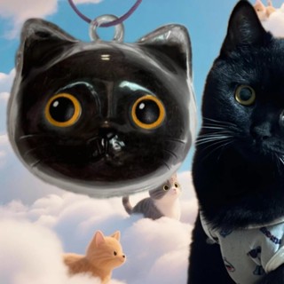 ใหม่แมวน่ารักแมวผมเก็บจี้สร้างสรรค์โปร่งใสแมวผมกล่องเก็บสัตว…