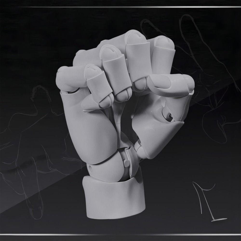 จัดส่งจากประเทศไทย Hand Model รูปที่ 6