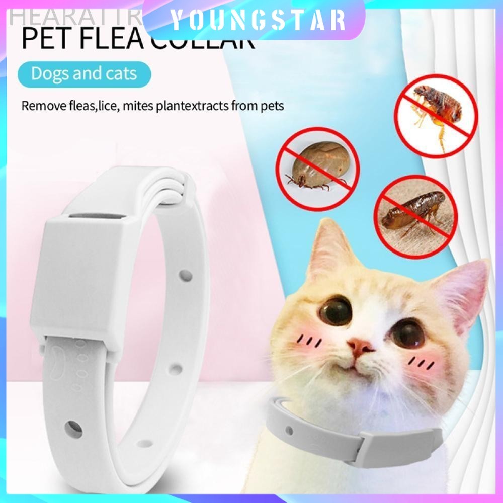 Fyg 15/19 นิ้วสัตว์เลี้ยง Antiparasitic Collar Anti Flea Tick Mite ขับไล่สุนัขแมวคอ Deworming Collar