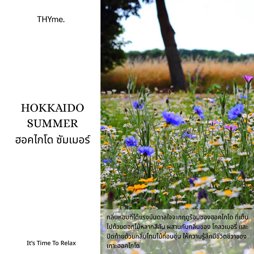 น้ำหอมเครื่่องพ่นไอน้ำ กลิ่น HOKKAIDO SUMMER ฮอคไกโด ซัมเมอร์ THYme. Oil ozone สำหรับใส่เครื่องพ่นไอน้ำ
