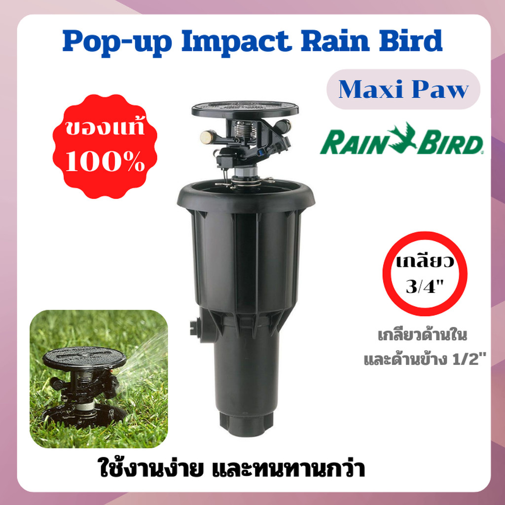 หัวป๊อบอัพฝังดิน Pop-up แบบตีน้ำ Rain Bird USA Maxi Paw 2045A เกลียว 3/4 นิ้ว, 1/2 นิ้ว ของแท้ ระวัง