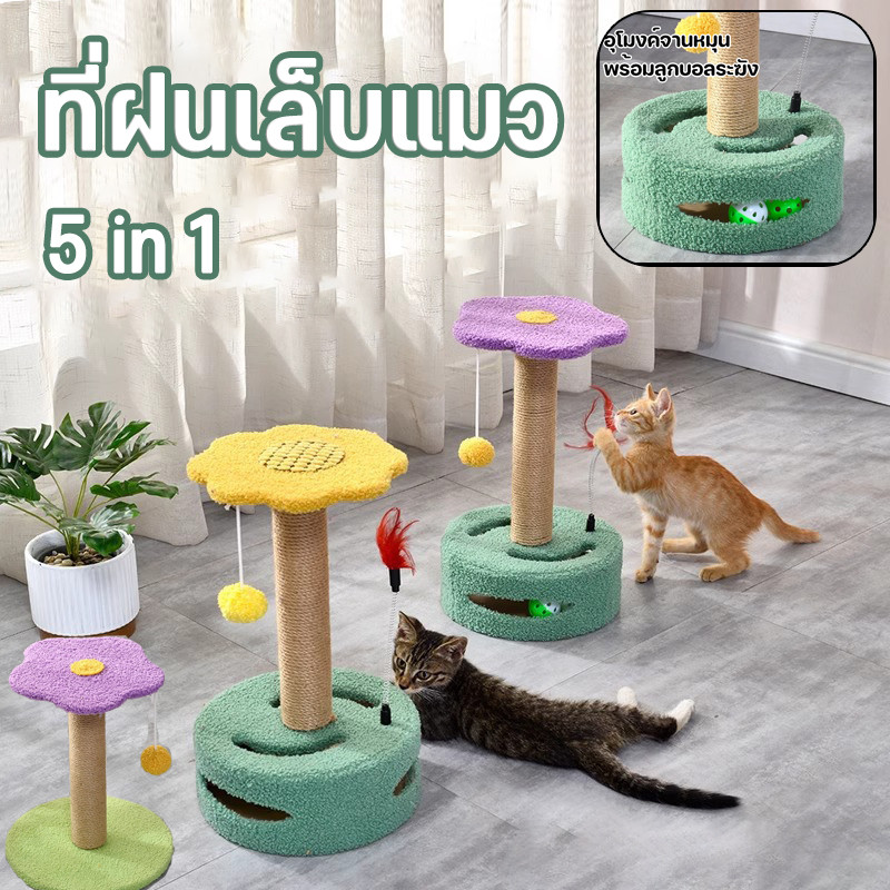 🏵️COD🌸กรอบปีนแมว เสาลับเล็บแมวได้ เสาลับเล็บแมวได้ ที่ฝนเล็บแมว 5 in 1  พร้อมของเล่น คลายเครียด