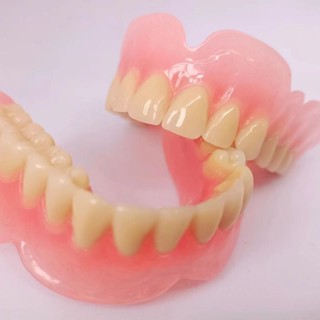 ฟันเต็มปาก โมเดลผู้สูงอายุทั้งปาก กิจกรรมฟันปลอมกทั้งชุด ฟัน…