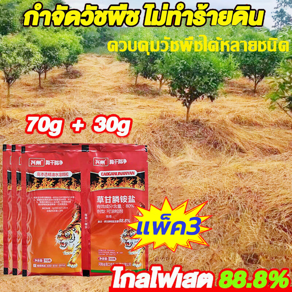 💦💦ผงฆ่าหญ้า แพ็ค3 สารกำจัดวัชพืช ผงกำจัดหญ้าและวัชพืช ประสิทธิภาพเยี่ยม น้ำหนัก 100g