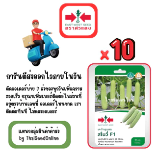 GG x 10 เมล็ดผักซองศรแดง สโนวี่ แตงร้าน สินค้ายกแพ็ค