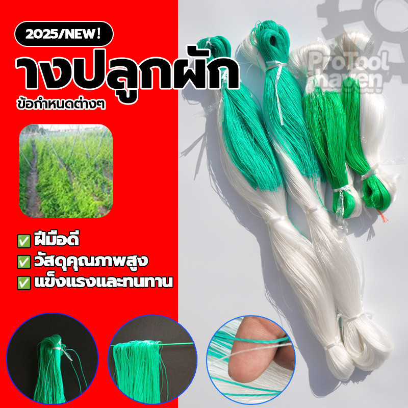 ตาข่ายไม้เลื้อย อวนมะระ ค้างไม้เลื้อย างปลูกผัก 2*100m ตาข่ายอวน ทดทานไม่ขาดง่าย