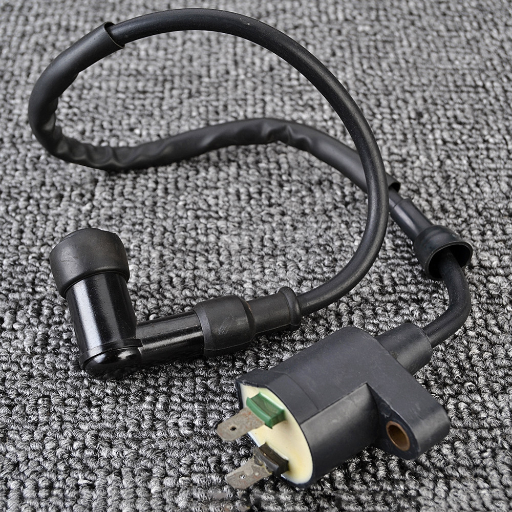 รถจักรยานยนต์เครื่องกําเนิดไฟฟ้าคอยล์จุดระเบิดสําหรับ Kymco Agility 50 เช่น 125 Super 8 Filly People