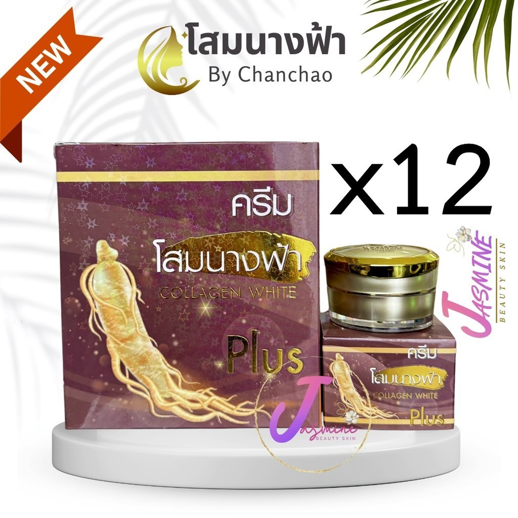 ครีมโสมนางฟ้า จันทร์เจ้า ไนท์ครีม ( ยกโหล 12 กล่อง ) Chanchao Som Nang Fah Collagen ครีมกลางคืน 20 g.