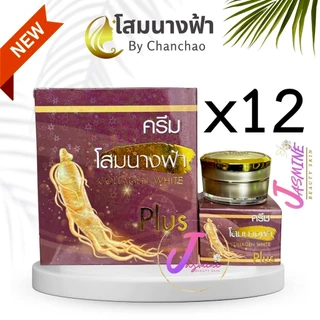 ครีมโสมนางฟ้า จันทร์เจ้า ไนท์ครีม ( ยกโหล 12 กล่อง ) Chanchao Som Nang Fah Collagen ครีมกลางคืน 20 g.