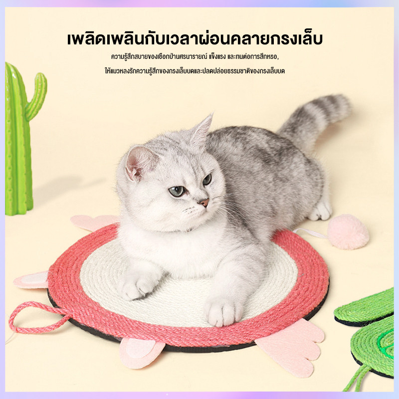 สินค้าอยู่ในไทย พร้อมส่ง ที่ลับเล็บแมวรูปแคคตัส ทนทานและป้องกันรอยขีดข่วนมี 8 รูปแบบ