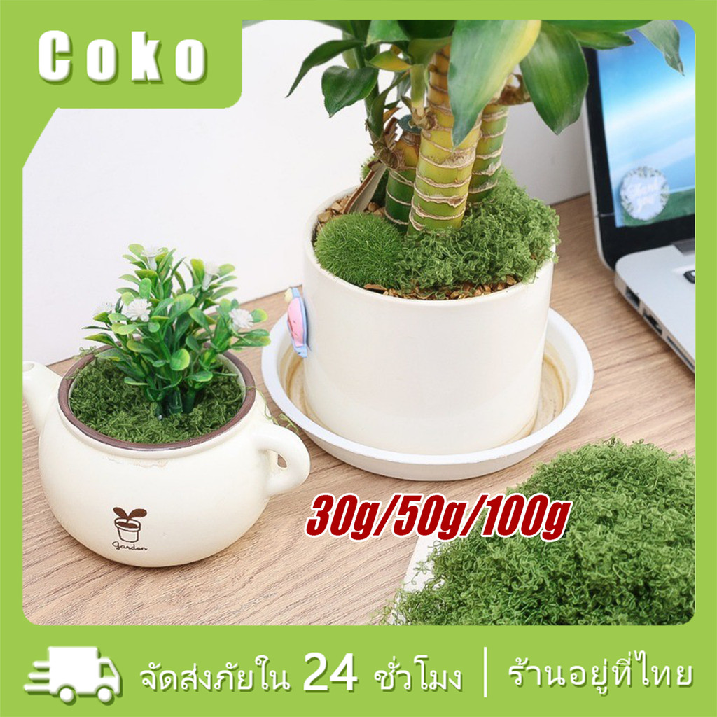 มอสเทียมจําลอง มอสปลอม หญ้าเทียม หนา2ซม. สำหรับตกแต่งบ้านผนัง ตกแต่งสวน แบบDIY