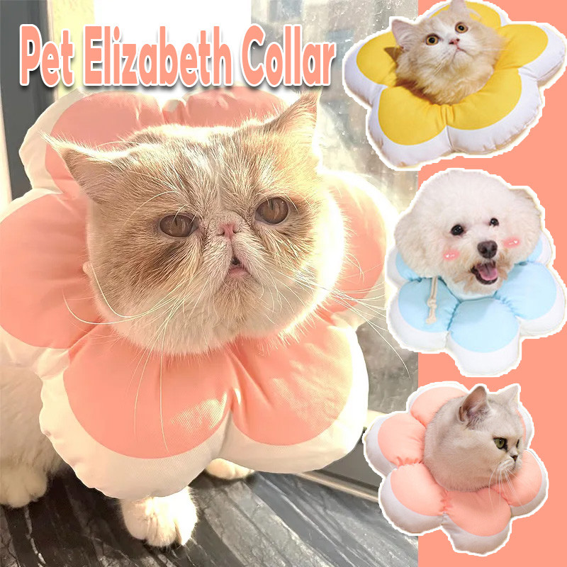 พร้อมจัดส่ง Pet Elizabeth Collar ปลอกคอสัตว์เลี้ยง คอล่าแมว collar แมว กันเลียแมว กันแมวเลีย คอลล่าสุนัข