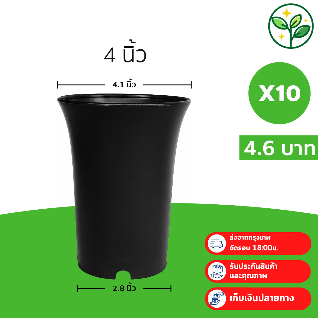 กระถางปากแตร กระถาง กระถางไม้กราฟ ทรงสูง 4 นิ้ว 10 ใบ สีดำ ยกมัด