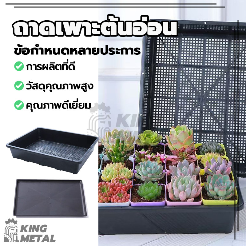 ถาด ถาดเพาะกล้า ถาดปลูกต้นไม้ ถาดทึบ มีรู กล้าข้าว เพาะชำ เพาะเมล็ด ใช้สำหรับปลูกพืช จัดระเบียบต้นไม้