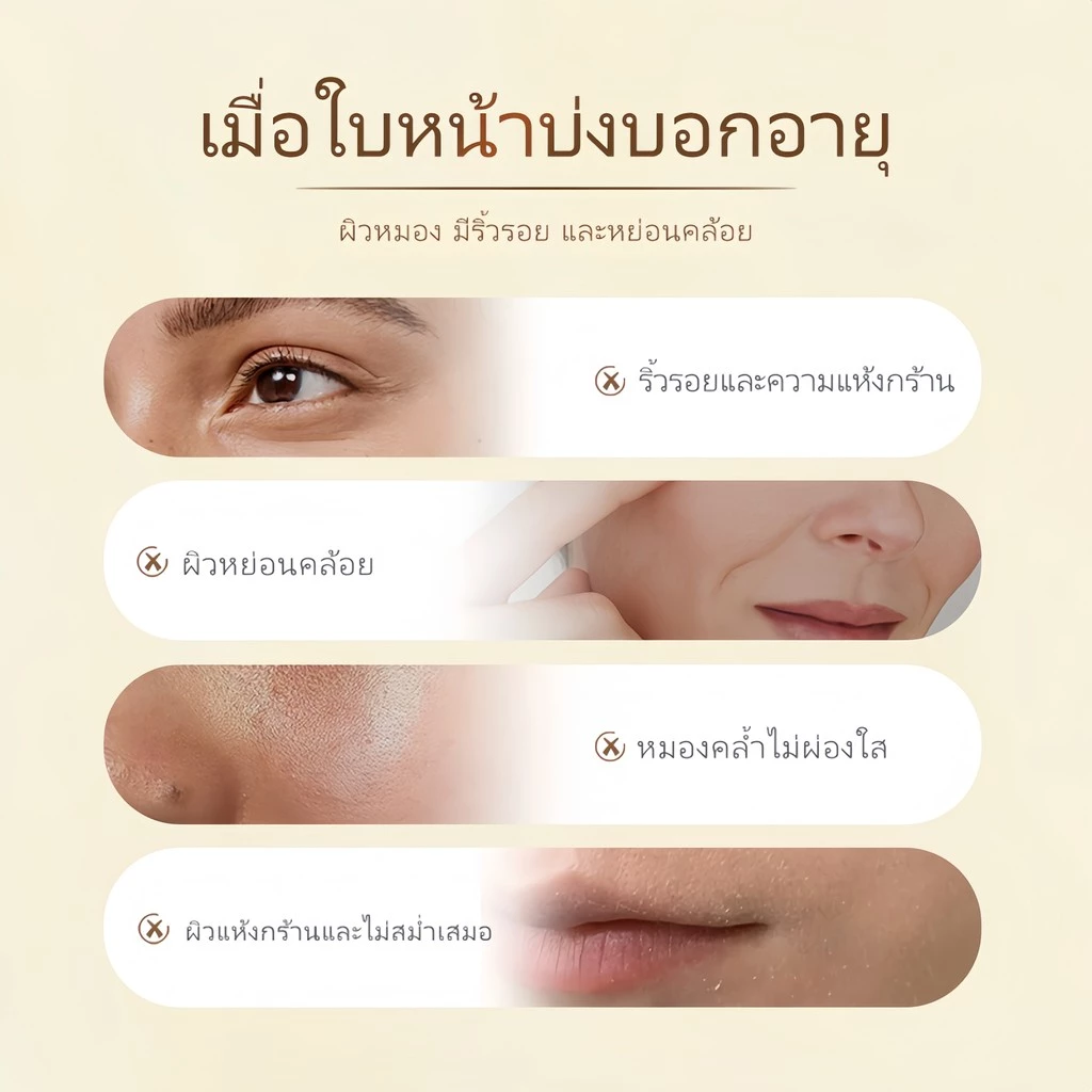 BODANA วอเตอร์ ลิลลี่ เอสเซนส์ ออยล์ สกินแคร์ ผิว ใบหน้า ความชุ่มชื้น ออยล์บำรุงผิวหน้าจากดอกบัวขาว thumbnail 8
