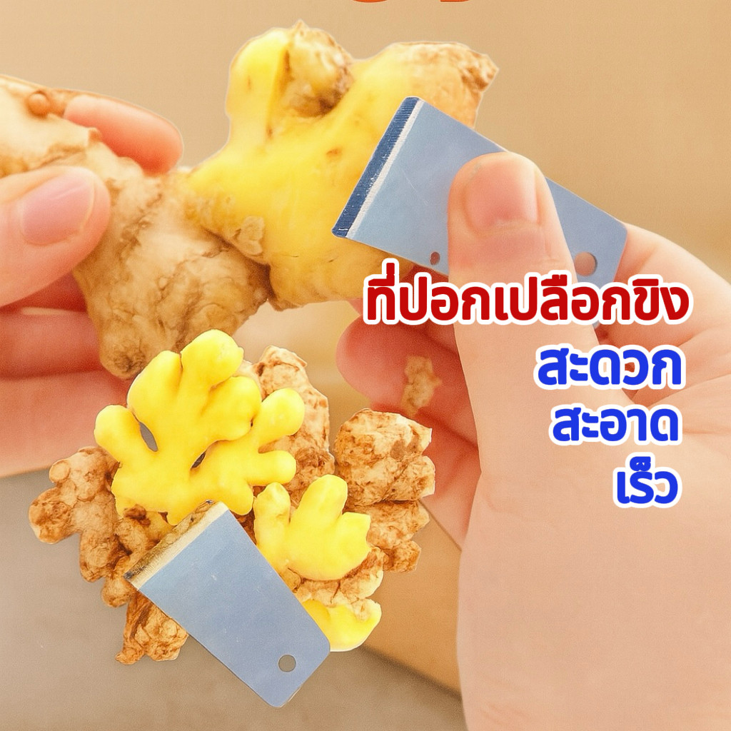【อุปกรณ์ปอกเปลือกขนาดเล็กสำหรับครัว】เครื่องขูดเปลือกขิง ใช้ในบ้าน ขูดขิง ปอกเปลือก หัวไชเท้า มันฝรั่ง เผือก กระเทียม ราคา ถูกที่สุด ดีลบีเคเค แกลเลอรีภาพที่ 2